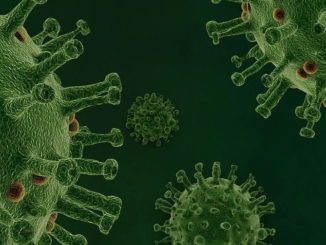 Innoplexus: Große Schritte zur Bekämpfung des Coronavirus