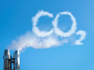 Fast 3 von 10 Unternehmen kompensieren CO2-Emissionen