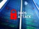 Black Friday und Co.: DDoS-Angriffe mit Rekordwerten erwartet