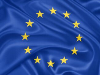 Europa, Deutschland und der Digital Services Act